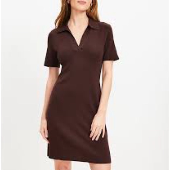 LOFT Dresses & Skirts - LOFT Brown Petite Collared Split Neck Polo Collar Bodycon Dress XSP EUC